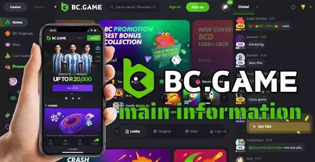 Responsible Gambling at BC.Game India A Guide for Players